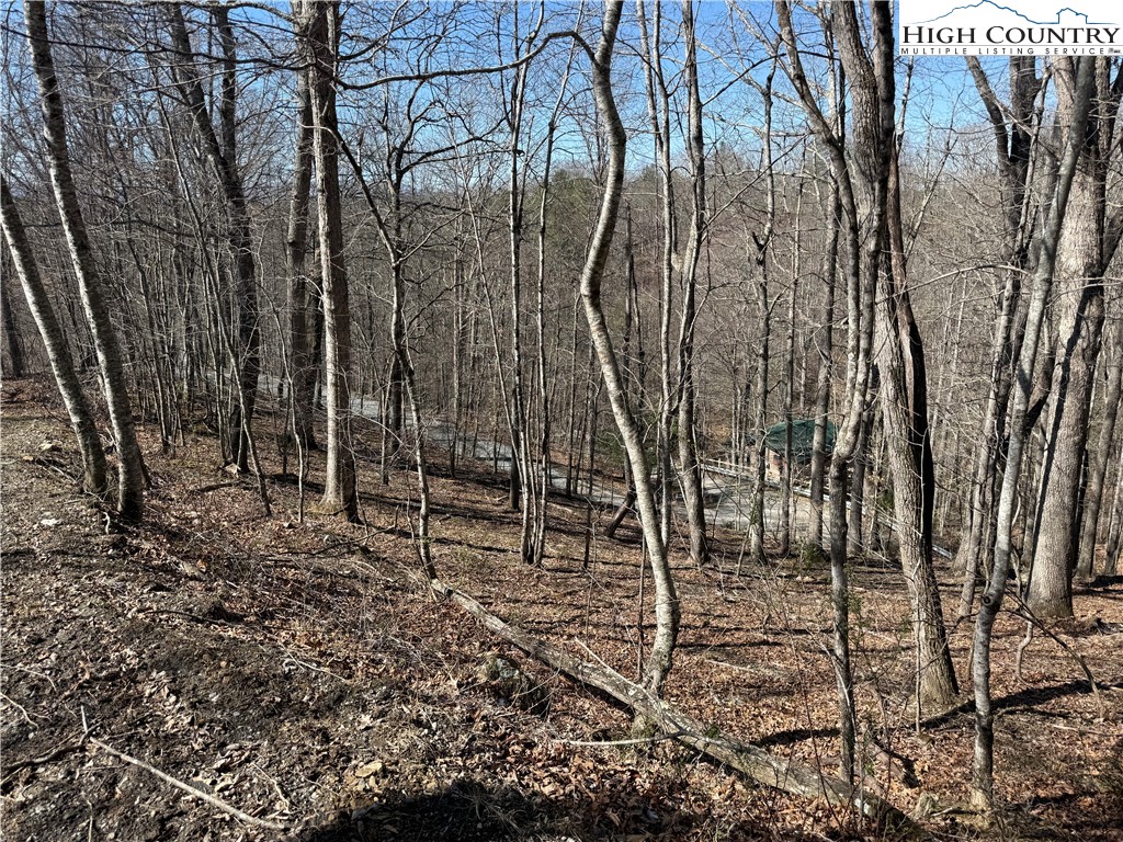 Land in Piney Creek 5