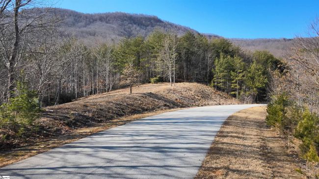 00 Birkdale Dr, House other with 4 bedrooms, 5 bathrooms and 2 parking in Mill Spring NC | Image 10