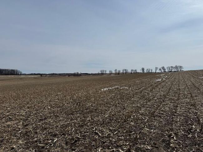 0000 County Road 61, Home with 0 bedrooms, 0 bathrooms and null parking in Browerville MN | Image 7