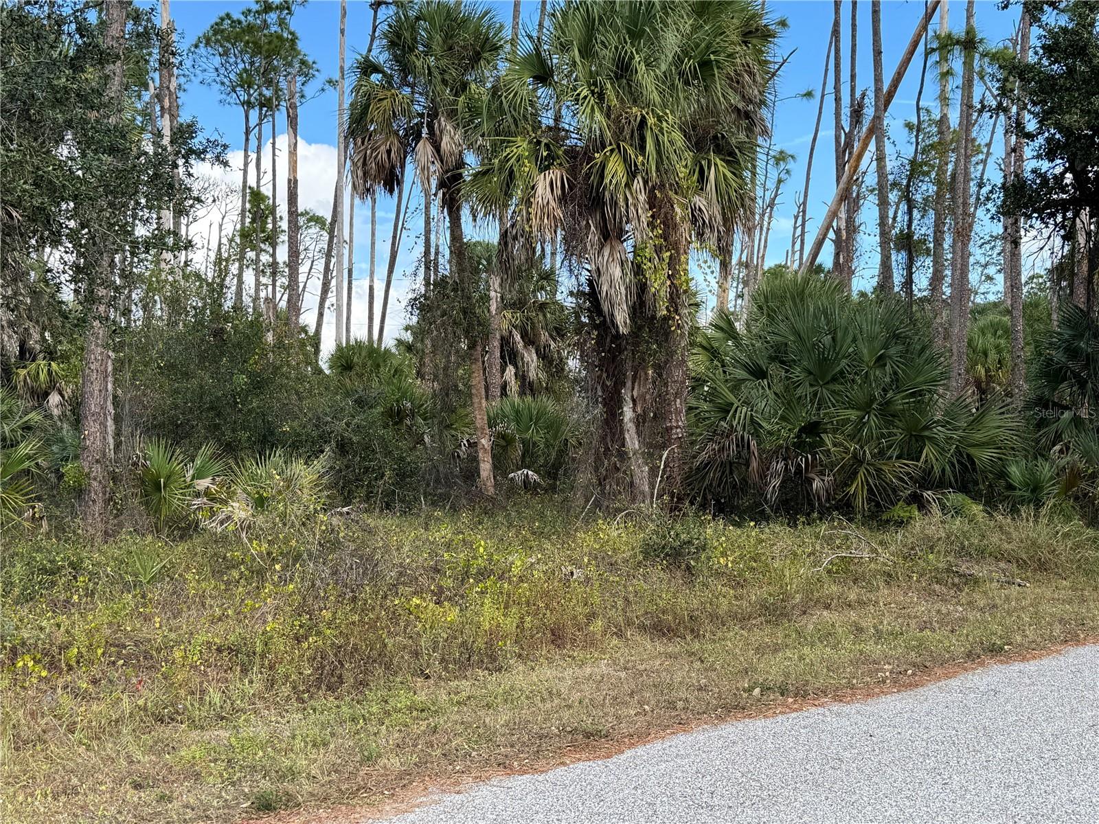 Land in PORT CHARLOTTE 2