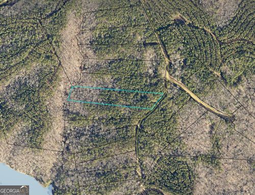 LOT 11 Blackberry Bend Dr, Elberton, GA, 30635 | Card Image