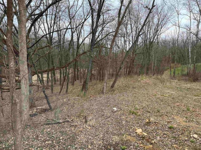 N2403 E Rockdale Rd, Home with 3 bedrooms, 2 bathrooms and null parking in CAMBRIDGE WI | Image 13