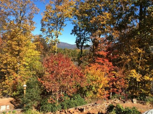 160 Caledonia Rd, LANDRUM, SC, 29356-9644 | Card Image