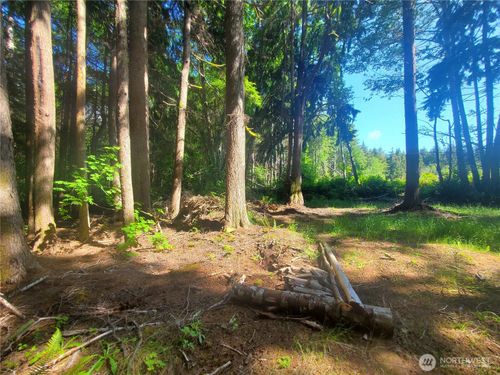 46 A N Shore Pl, Hoquiam, WA, 98550-9625 | Card Image
