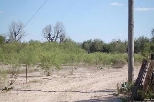 493 Park Ln St, Batesville, TX, 78829 | Card Image