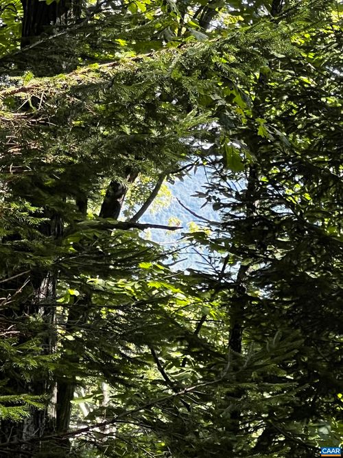 TBD Shamokin Springs Trl, ROSELAND, VA, 22967 | Card Image