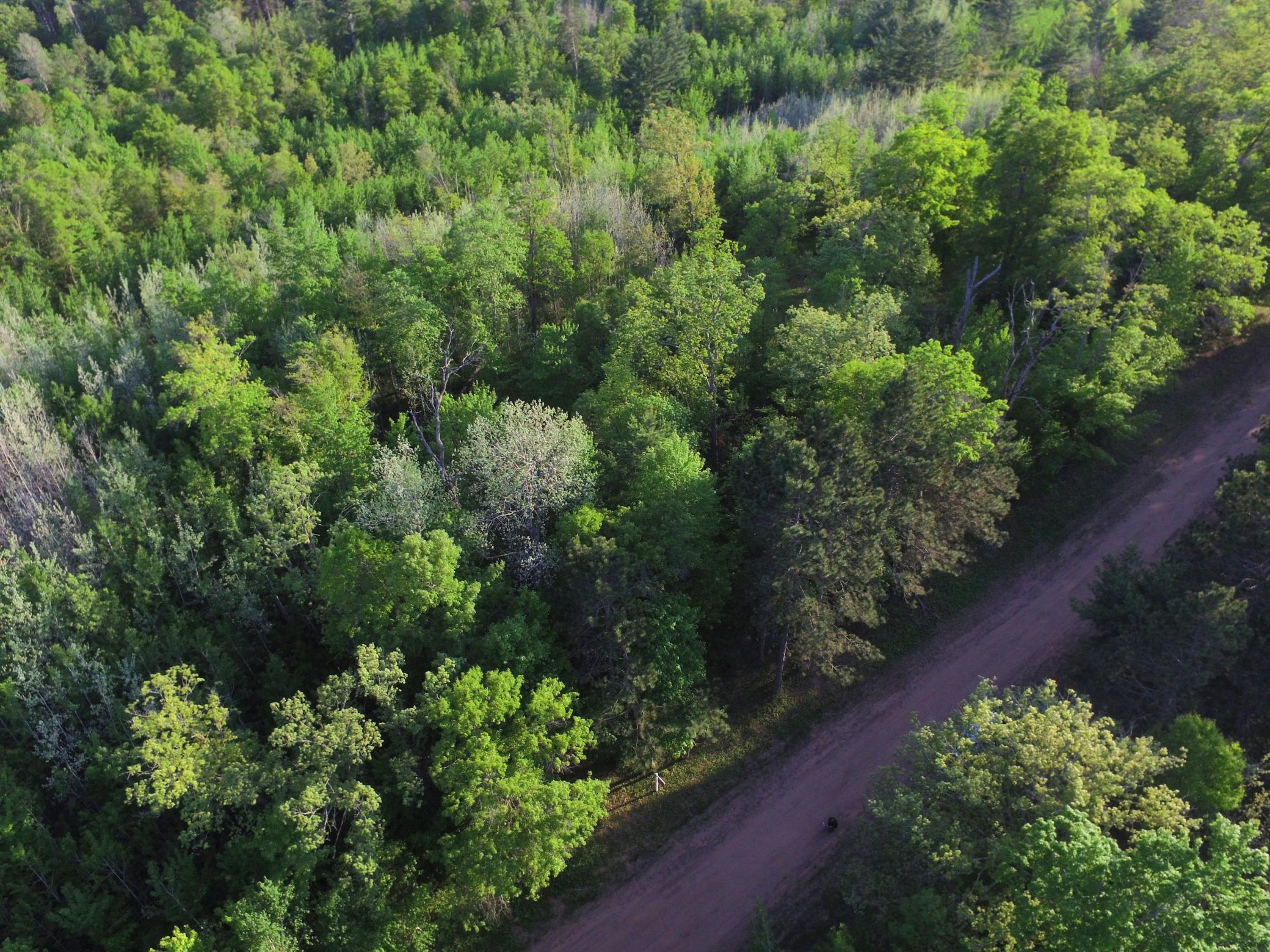 Land in Webster 4