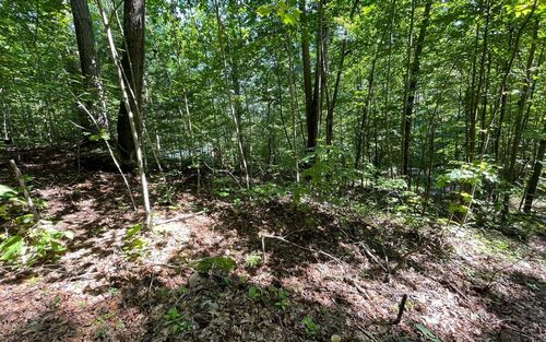 lot 8d Eagle Heights, Hiawassee, GA, 30546 | Card Image