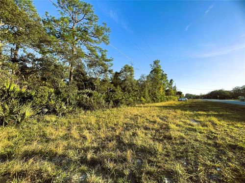 0 Florida Black Bear Scenic Bywy, ALTOONA, FL, 32702 | Card Image