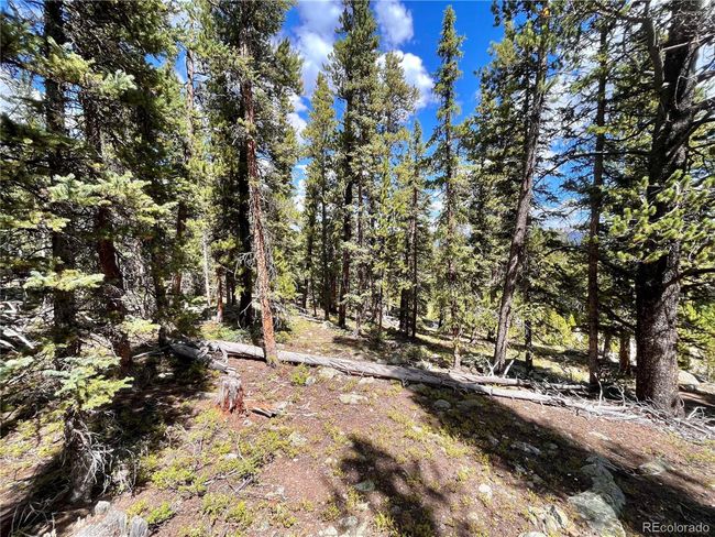 676 Dry Gulch Rd, Home with 0 bedrooms, 0 bathrooms and null parking in Fairplay CO | Image 8
