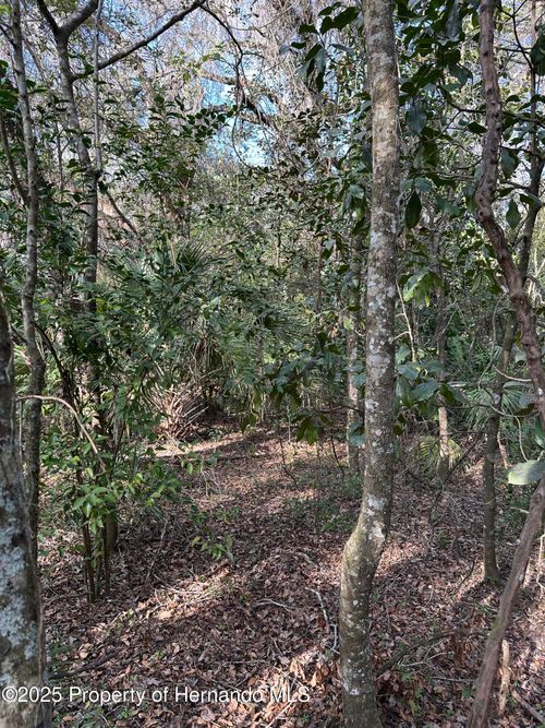 0 Lucilles Shady Ln, BROOKSVILLE, FL, 34601 | Card Image