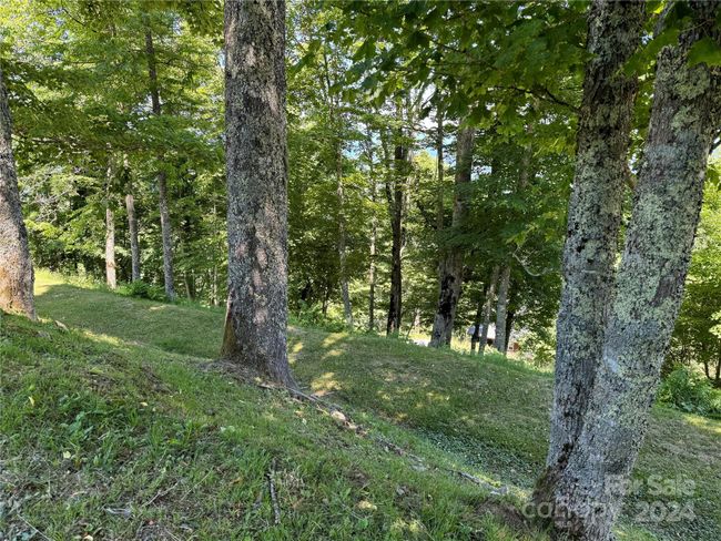 High Elevation | Image 4
