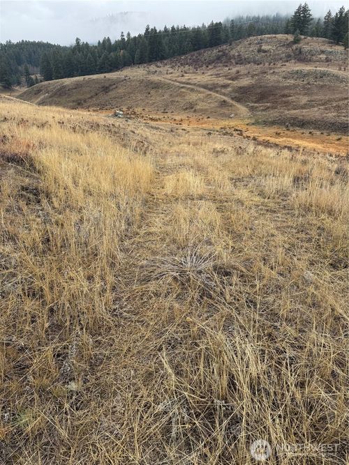 0 Mountain View Dr, Oroville, WA, 98844-9433 | Card Image