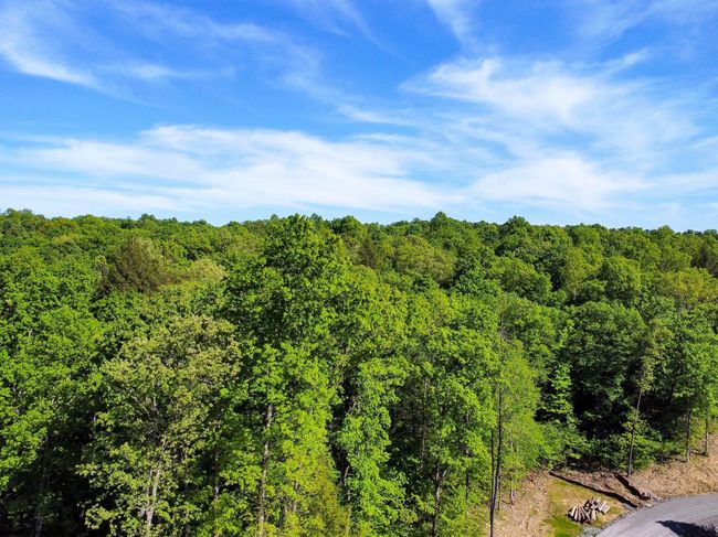 Lot 93 Laurel Loop   Whitewater Preserve Loop, Home with 0 bedrooms, 0 bathrooms and null parking in Bruceton Mills WV | Image 4