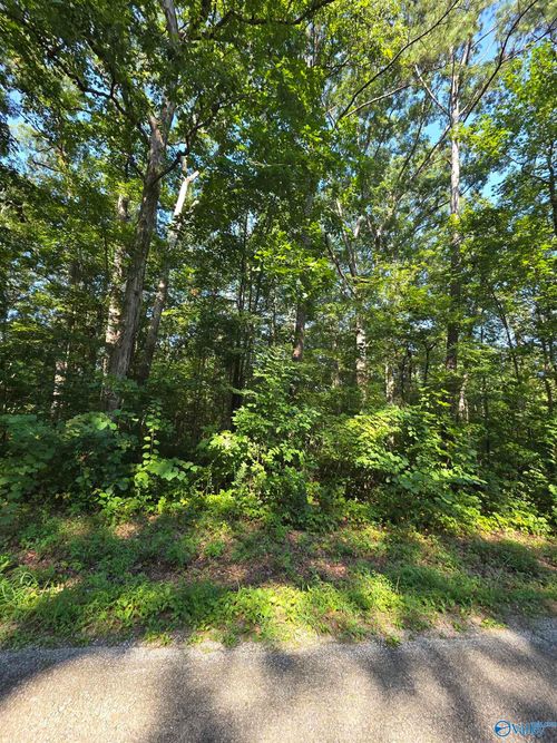 Lot 37 County Road 249, Leesburg, AL, 35983-3014 | Card Image