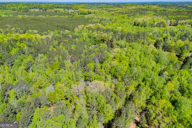 1975 Whooping Creek Rd, Home with 0 bedrooms, 0 bathrooms and null parking in Carrollton GA | Image 10