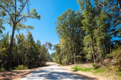555 Rabbit Pen Drive, Appling, GA, 30802 | Card Image