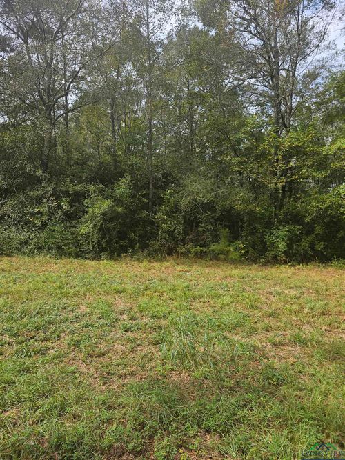 TBD County Road 4091, Gary, TX, 75643 | Card Image