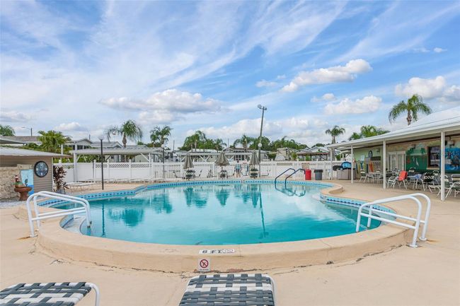 Enjoy the Florida Sunshine | Image 20