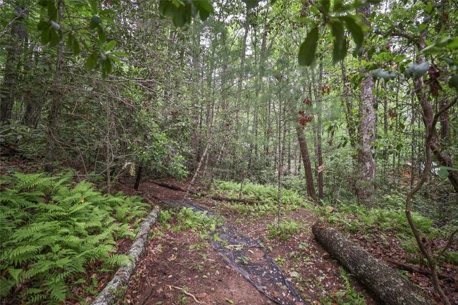 151 Rhododendron Ct, House other with 3 bedrooms, 3 bathrooms and null parking in Sapphire NC | Image 75