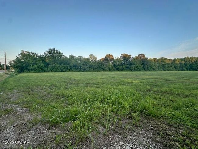 0 Old Trezevant Rd, Home with 0 bedrooms, 0 bathrooms and null parking in Trezevant TN | Image 7