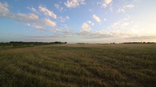 TBD Fm 1082, Abilene, TX, 79601 | Card Image