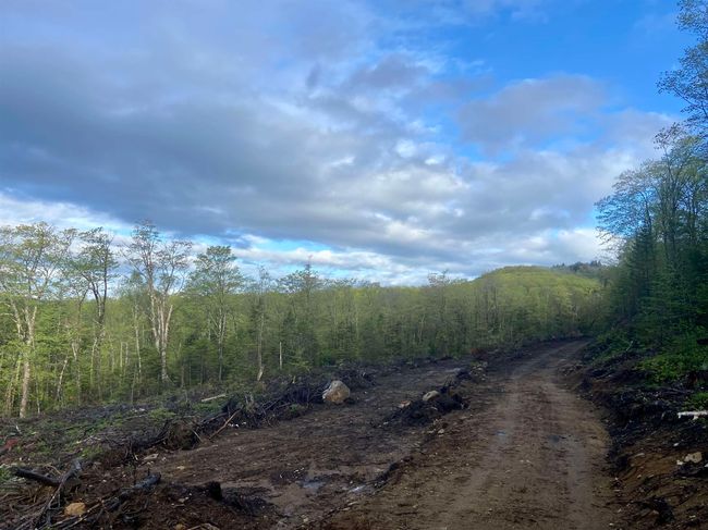 1180 Abbott Hill Rd, Home with 0 bedrooms, 0 bathrooms and null parking in West Burke VT | Image 34