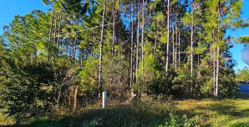 901 Ne 6th St, Carrabelle, FL, 32322 | Card Image