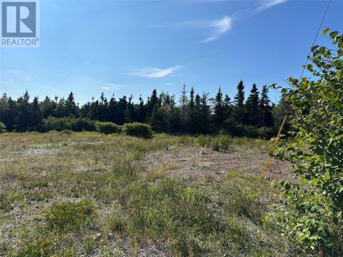 225-229 Nicholsville Rd, Deer Lake, NL, A8A1W4 | Card Image