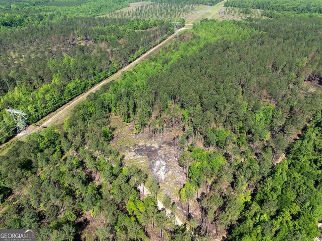 6053 Sun Hill Grange Rd, Home with 0 bedrooms, 0 bathrooms and null parking in Davisboro GA | Image 125
