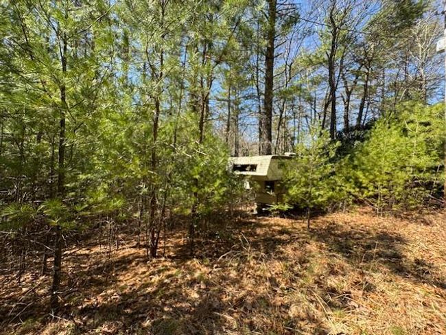 0 Buck Hollow Trl, Home with 0 bedrooms, 0 bathrooms and null parking in Sugar Grove VA | Image 12
