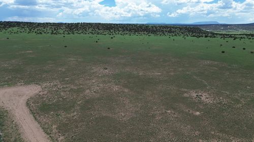 Lot 169 Deer Cir, Quemado, NM, 87829-9032 | Card Image