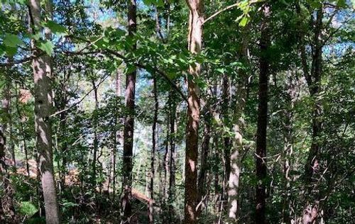 Lot 140 Red Oak Trl, Ellijay, GA, 30540-3792 | Card Image