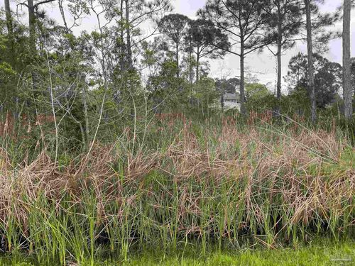 5500 Bob-O-Link Rd, Pensacola, FL, 32507 | Card Image