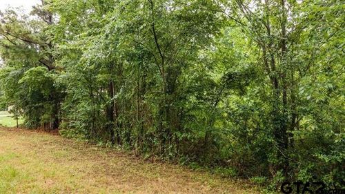 Lot 46 Pr 7011, Frankston, TX, 75763 | Card Image