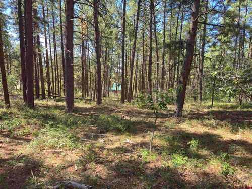 256 and 194 Blue Ridge Drive, Bayfield, CO, 81122 | Card Image