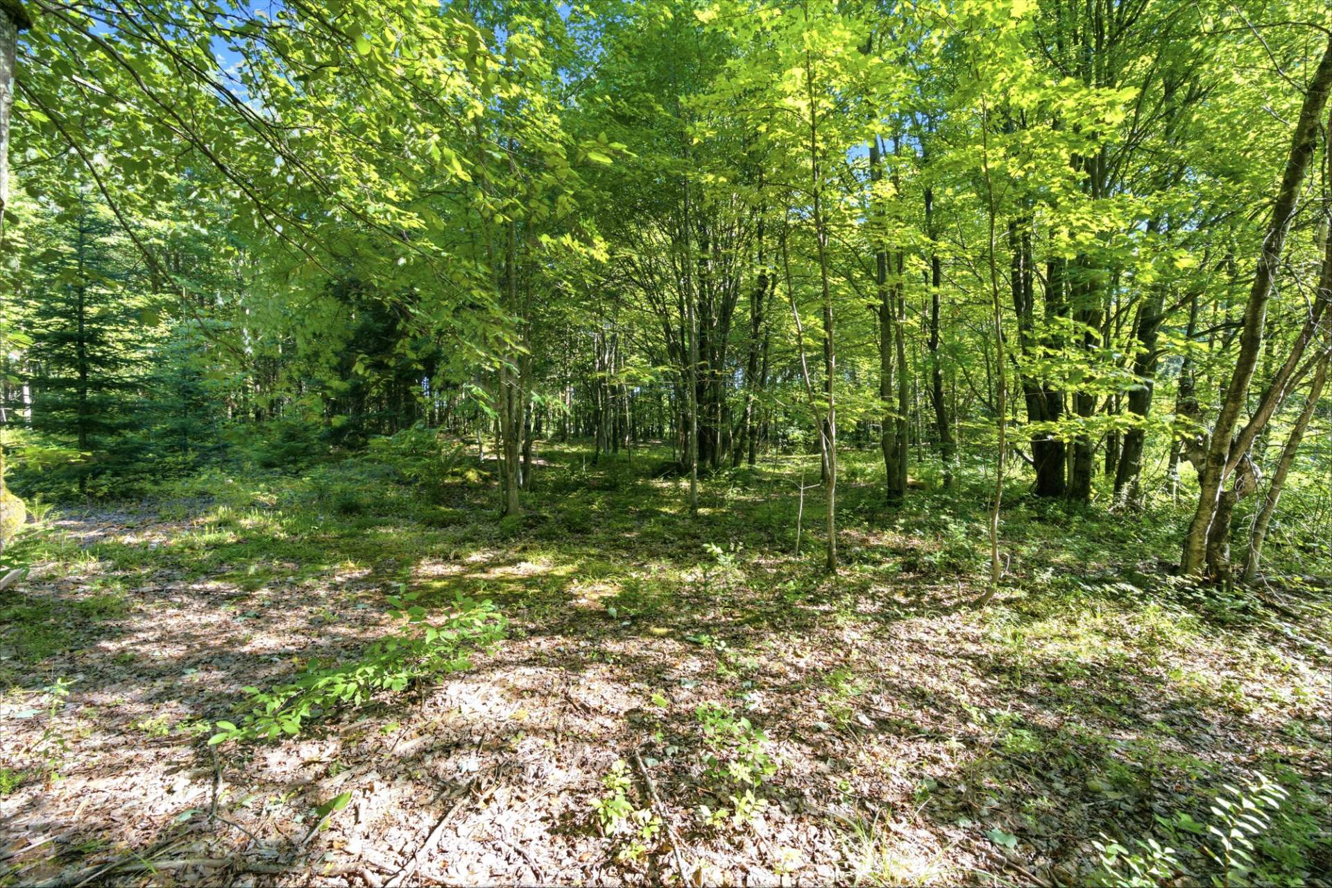 Land in Saint-Étienne-de-Bolton 2