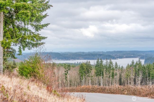 497 Red Hawk Dr, Home with 0 bedrooms, 0 bathrooms and null parking in Castle Rock WA | Image 12