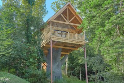 Tennessee Treehouse ext3 | Image 1