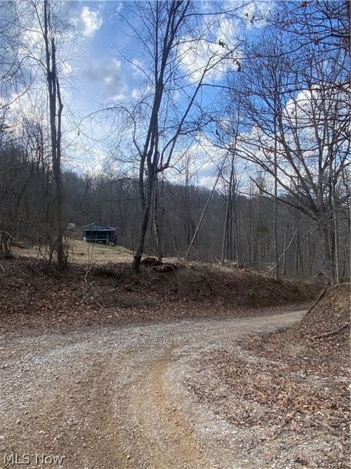 4143 Conrad Run Road, Palestine, WV, 26160 | Card Image