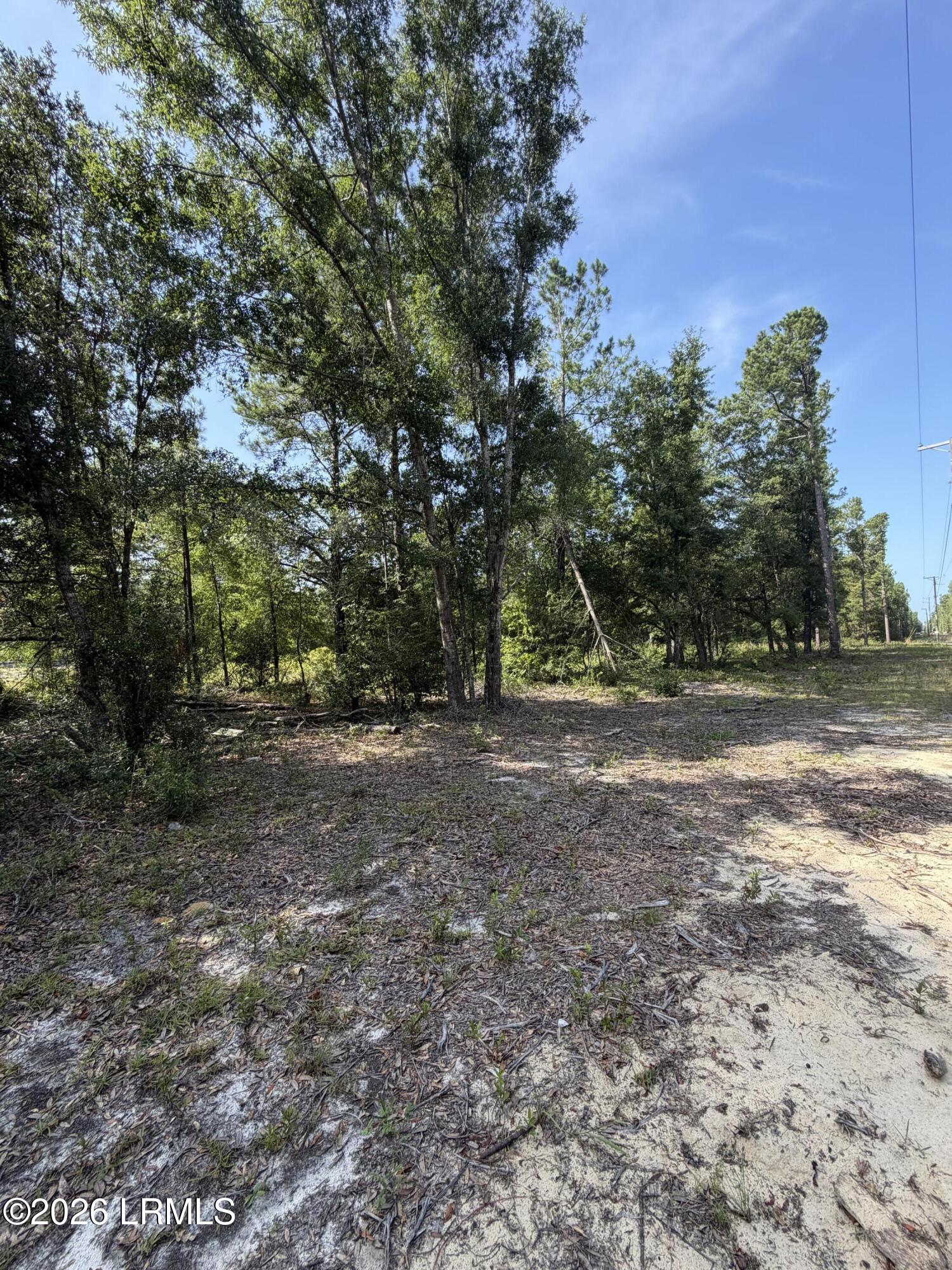 Land in Ridgeland 2