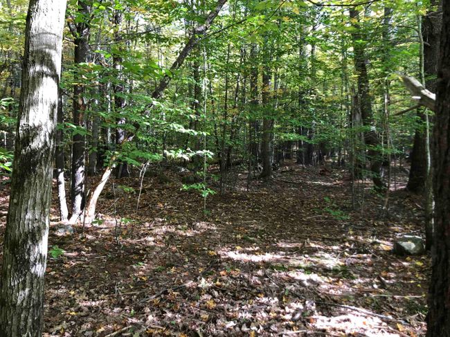 LOT-7-THE-HANNAH - 357 Dutile Road, House other with 4 bedrooms, 3 bathrooms and null parking in Belmont NH | Image 39