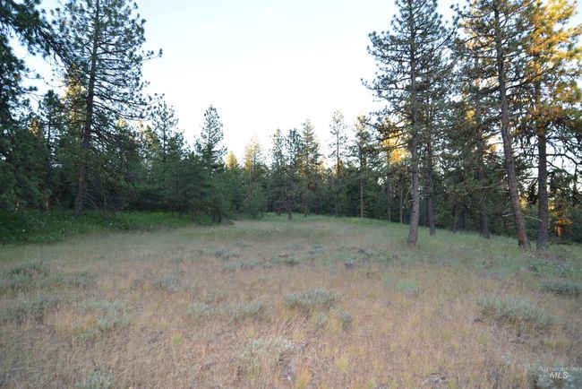 120 Anatone, Home with 0 bedrooms, 0 bathrooms and null parking in Anatone WA | Image 9