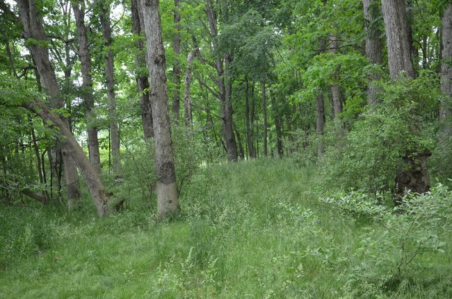 4500 S 42 Nd St, Home with 0 bedrooms, 0 bathrooms and null parking in Climax MI | Image 42