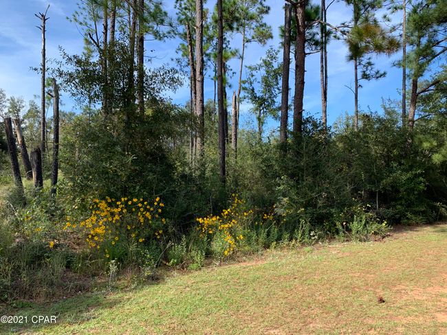 0000 Drury Ln, Home with 0 bedrooms, 0 bathrooms and null parking in Alford FL | Image 7
