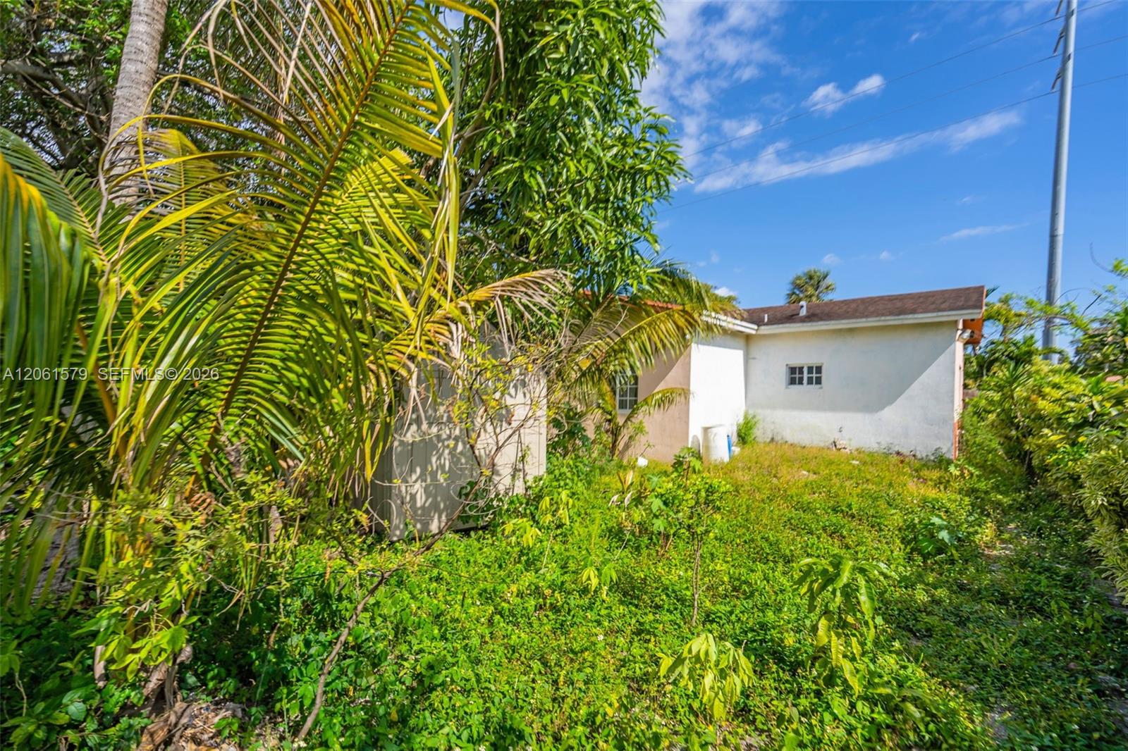 Residential in North Miami 3