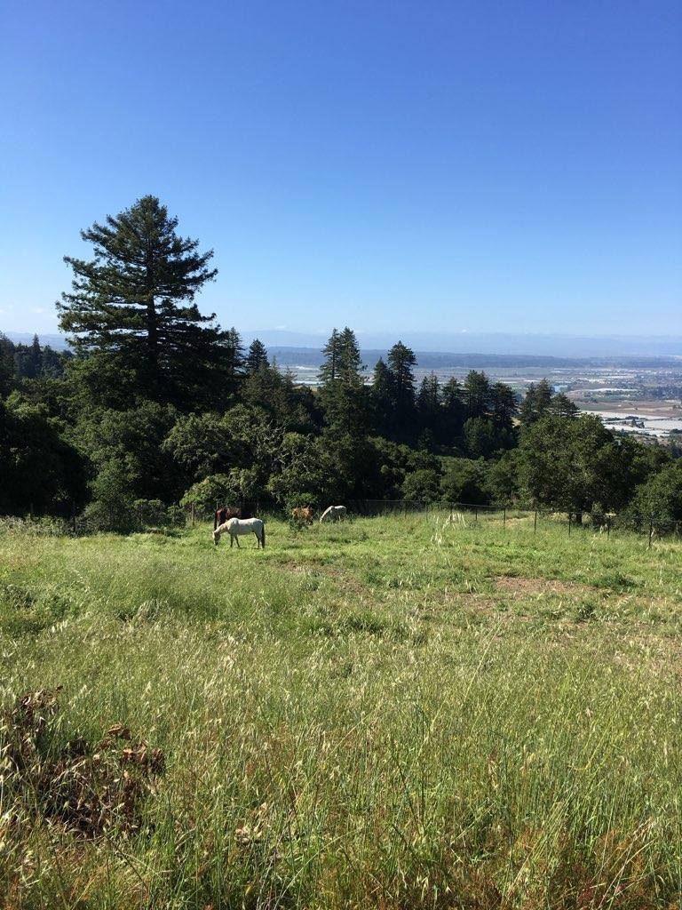 Residential in Watsonville 4