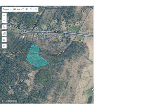 Lot 29 Peters Ln, Gilboa, NY, 12076 | Card Image