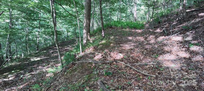 path continues above and behind current home to potential new homesite | Image 36