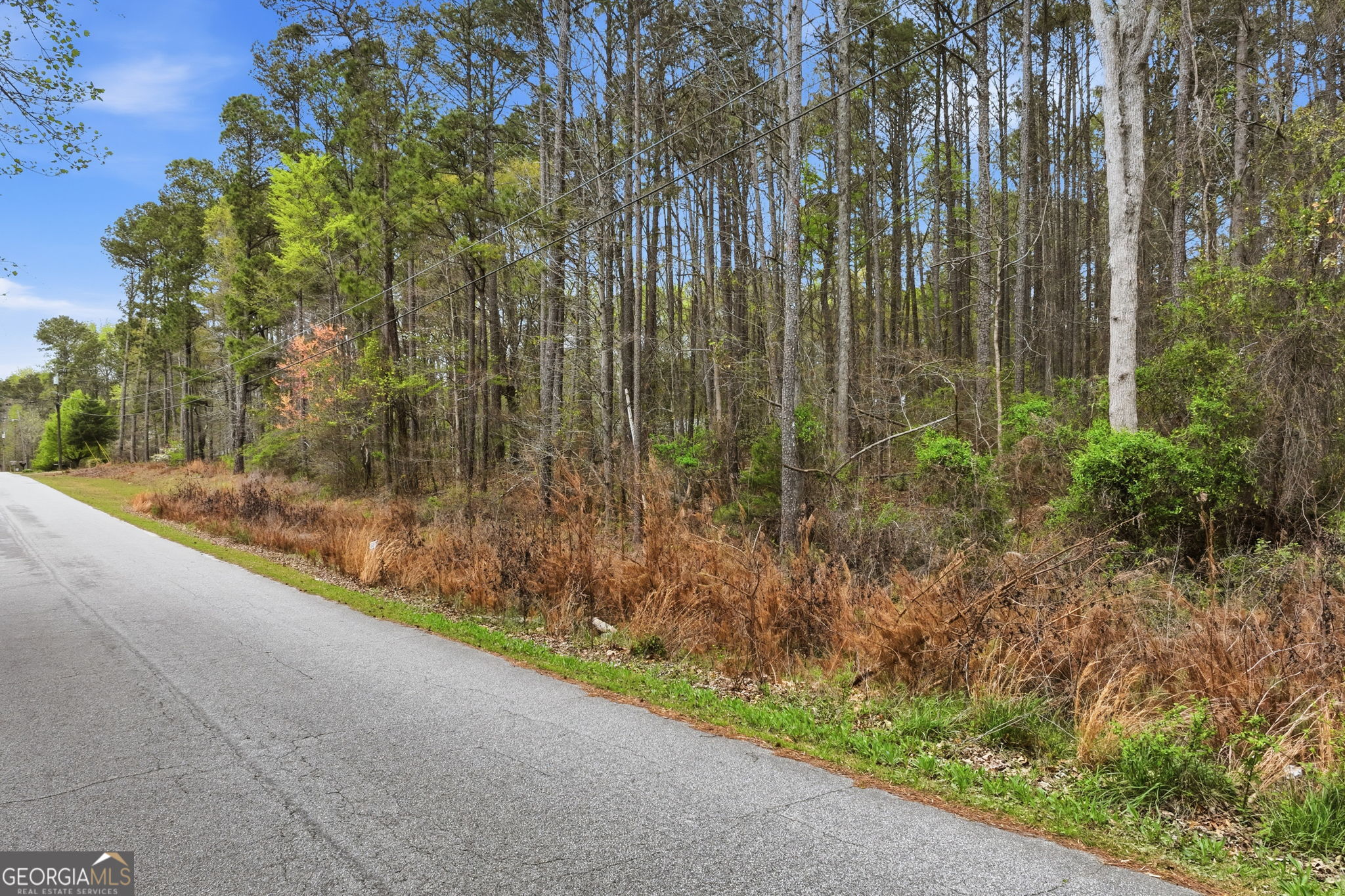 Land in Conyers 3